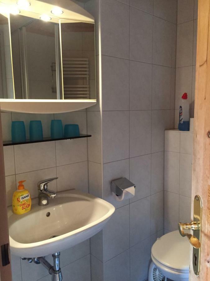 Apartment Helga Zell am Ziller Buitenkant foto